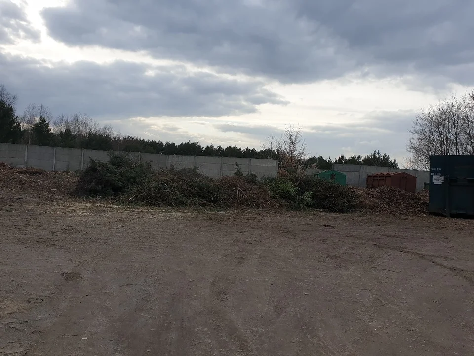 Mieszkańcy Sokolnik-Lasu są zbulwersowani. Wójt nie chce odbierać odpadów zielonych pomimo wyroku sądu