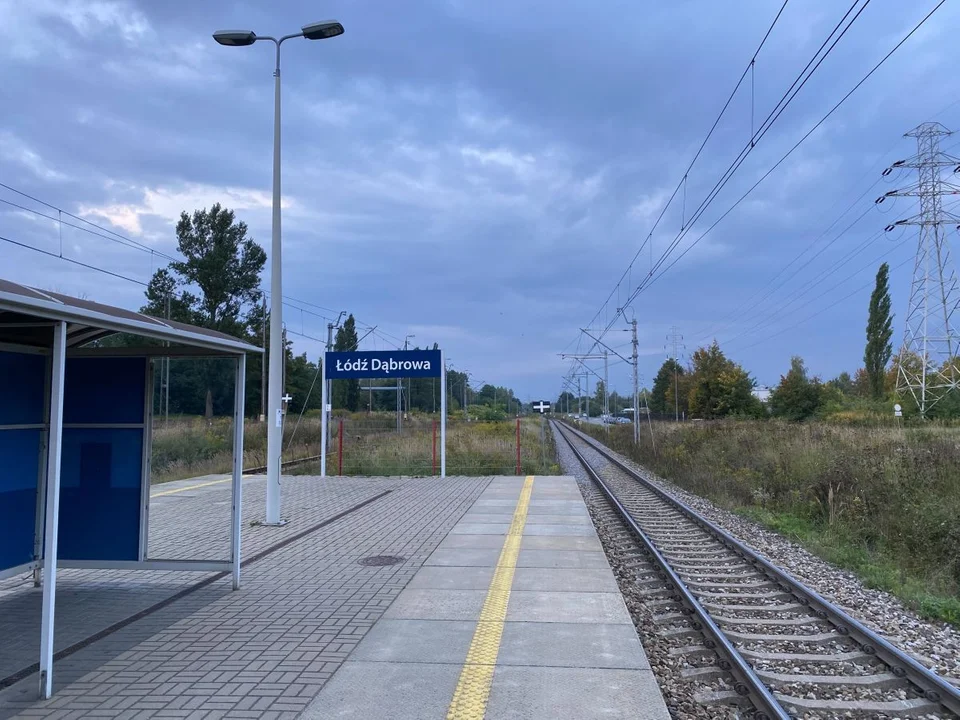 Stacja Łódź Dąbrowa w czasie remontu wiaduktów