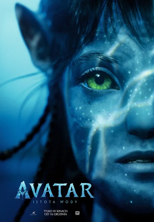 "Avatar: Istota wody" (ocena w serwisie Filmweb 6,6)