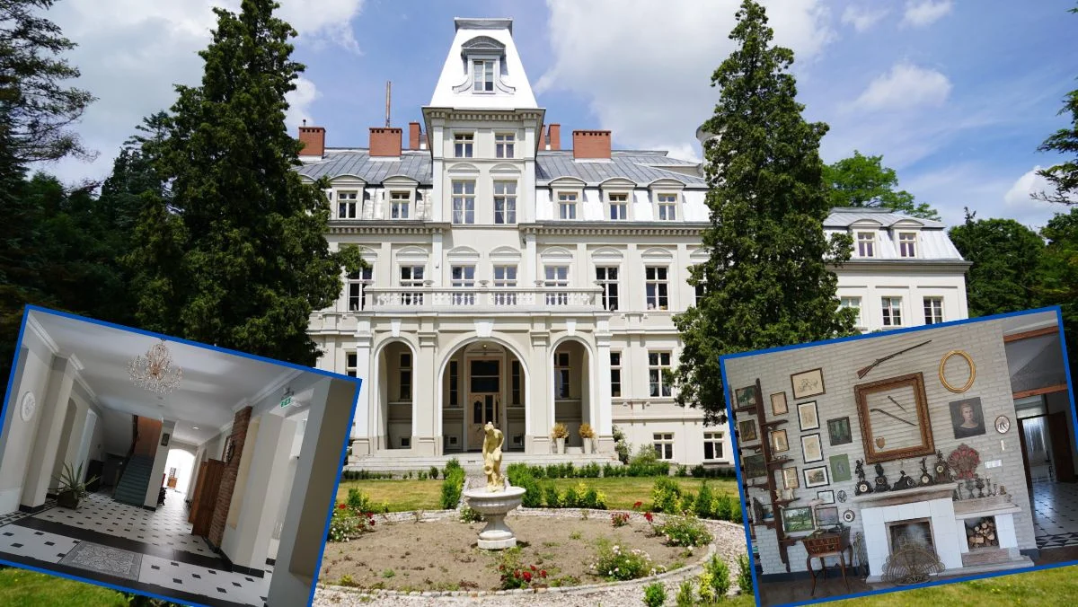 Wyjątkowy pałac pod Kutnem wystawiony na sprzedaż! Wartość to kilka milionów euro [ZDJĘCIA] - Zdjęcie główne