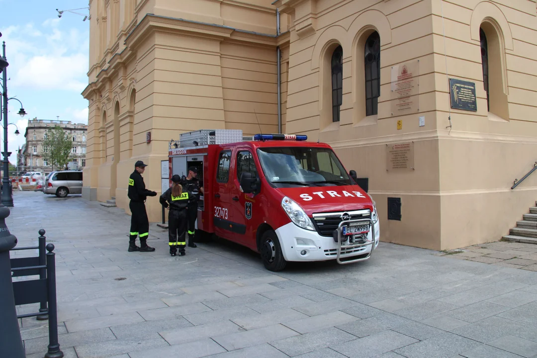 Najmłodsi przejęli Piotrkowską