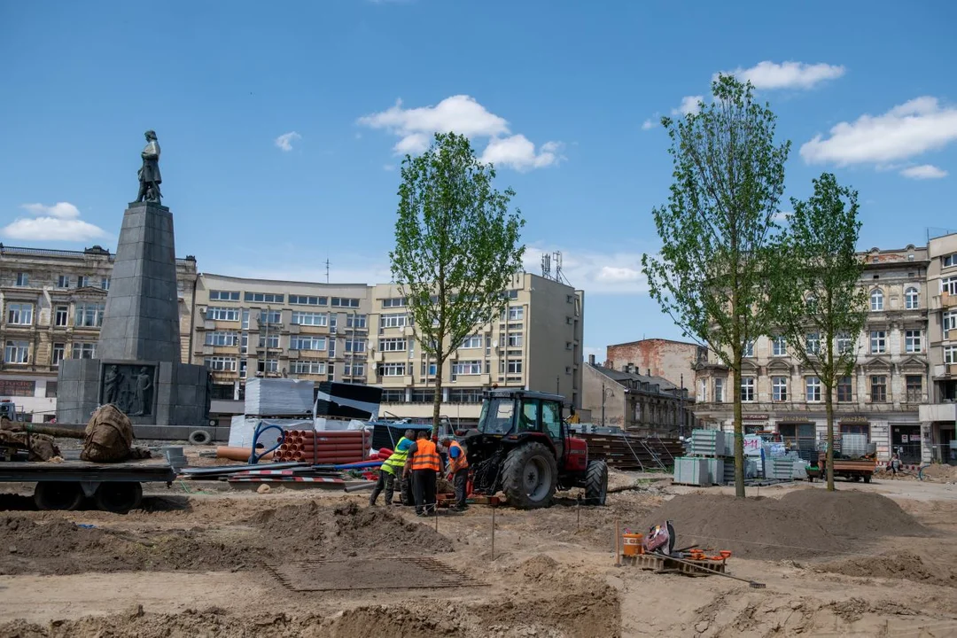 Pierwsze drzewa na placu Wolności w Łodzi
