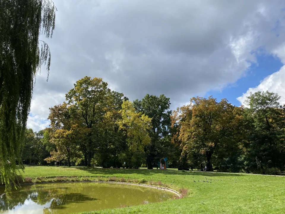 Park Źródliska jesienią