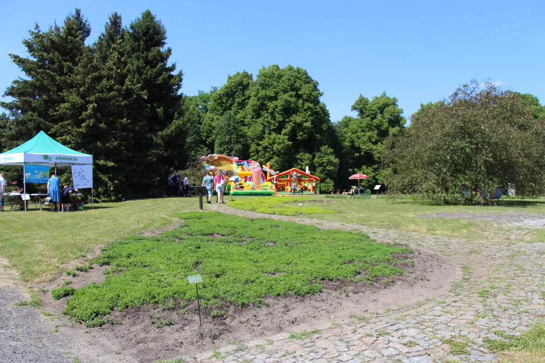 "Majówka w ogrodzie" - Ogród Botaniczny w Łodzi zaprasza na piknik rodzinny