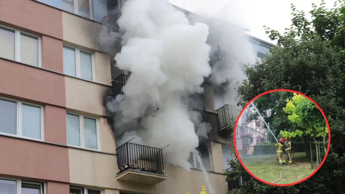 Duży pożar mieszkania w Kutnie. Służby ewakuowały mieszkańców bloku [ZDJĘCIA] [AKTUALIZACJA] - Zdjęcie główne