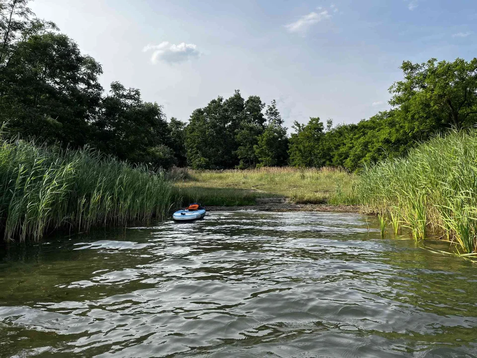 Zbiornik Przykona w powiecie tureckim to raj dla miłośników windsurfingu. Z Łodzi dojedziemy tu drogą krajową 72 [ZDJĘCIA] - Zdjęcie główne