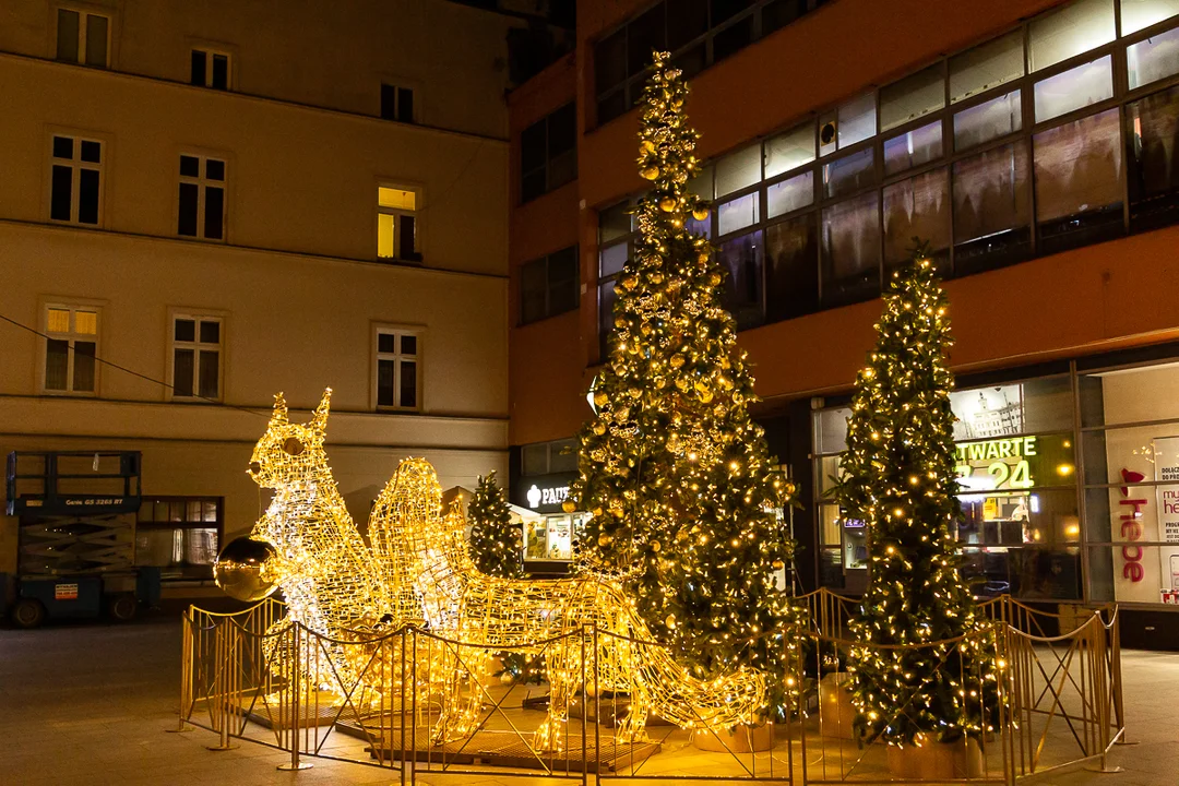 Świąteczna iluminacja na Piotrkowskiej. Kryzys energetyczny Łodzi niestraszny - Zdjęcie główne