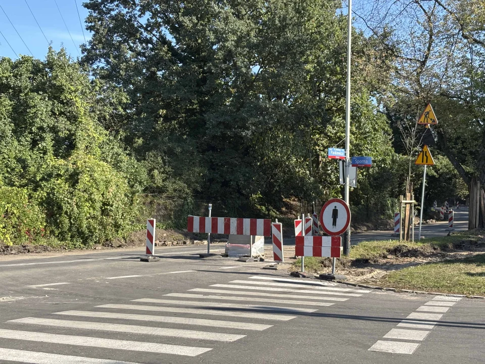 Tymczasowa organizacja ruchu na ul. Pankiewicza w Łodzi