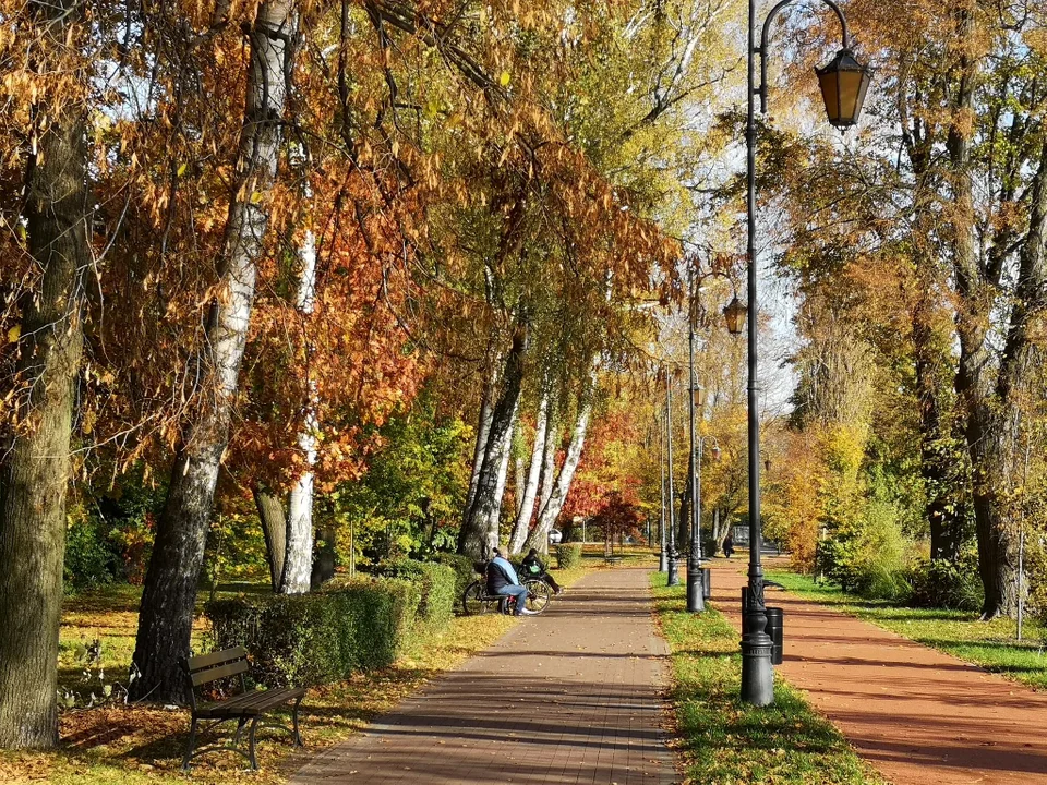 Zgierska złota jesień. Park Miejski zachwyca gamą kolorów [galeria] - Zdjęcie główne