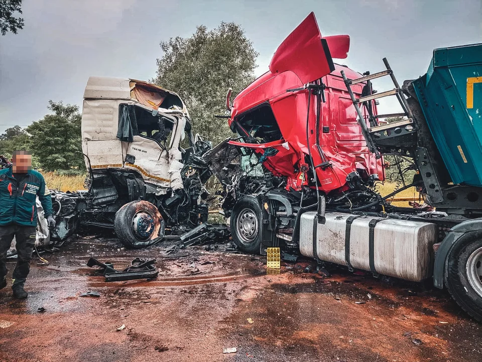 Czołowe zderzenie ciężarówek na DK71. Nie żyje 52-latek [zdjęcia] - Zdjęcie główne