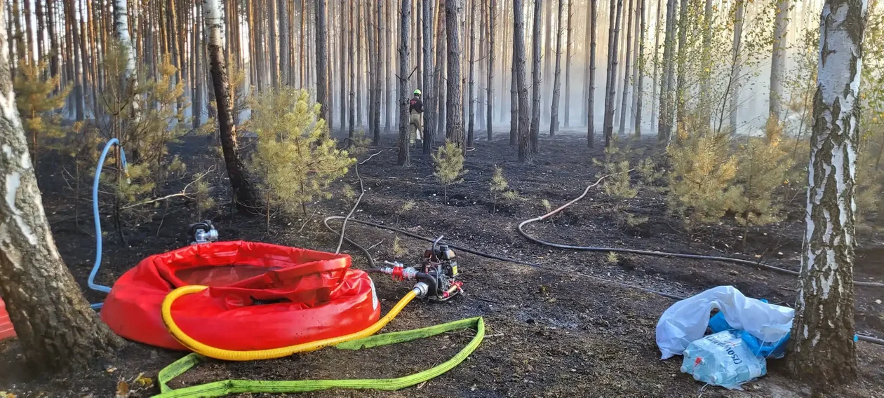 ogromny pożar w powiecie piotrkowskim