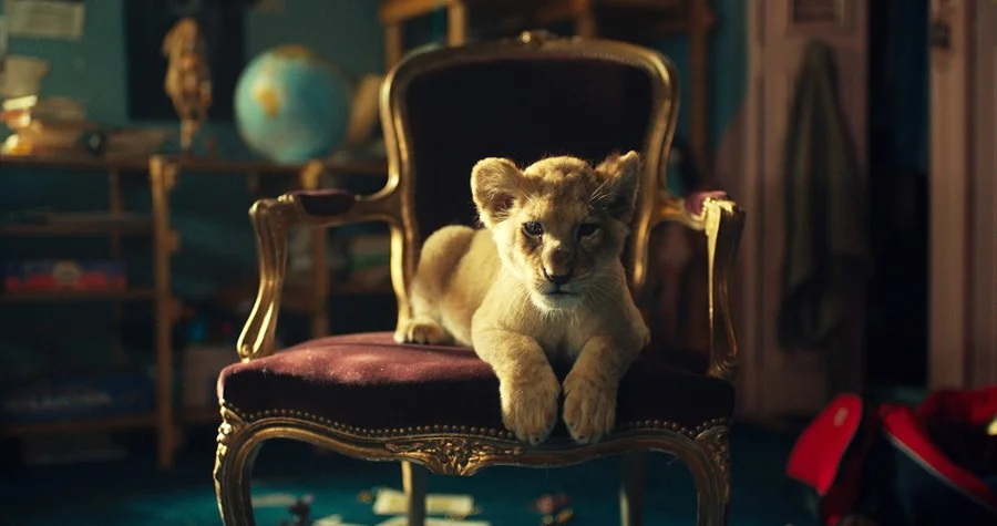 „King: Mój przyjaciel lew” (ocena w serwisie Filmweb 6,1)