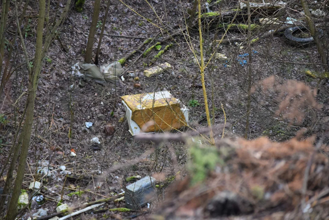 Składowisko odpadów na ul. Szczawińskiej w Zgierzu