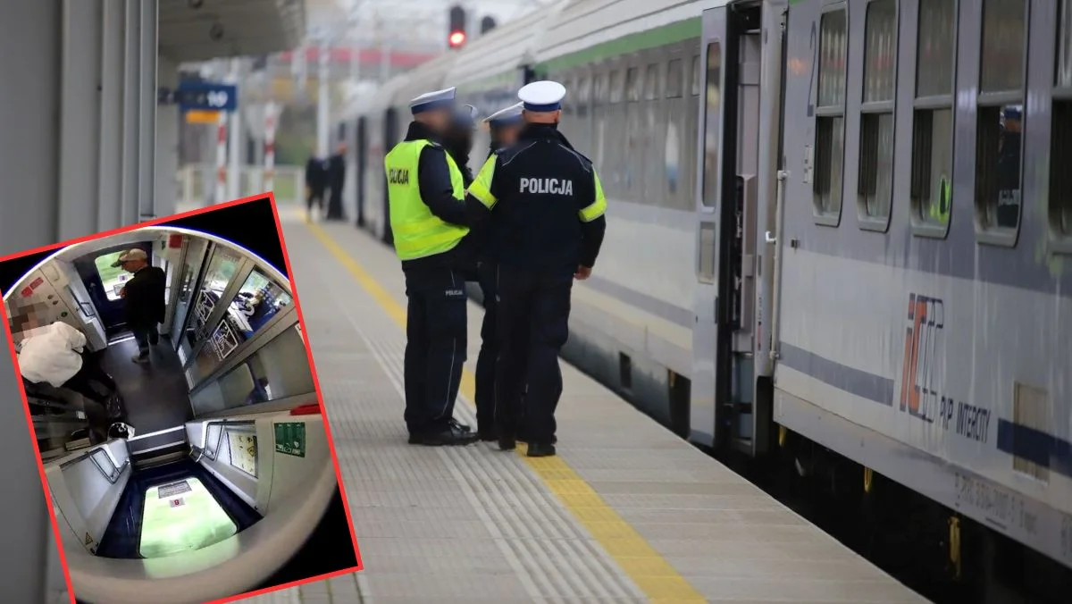 Kradzież w pociągu. Policja publikuje wizerunek sprawcy [ZDJĘCIA] - Zdjęcie główne