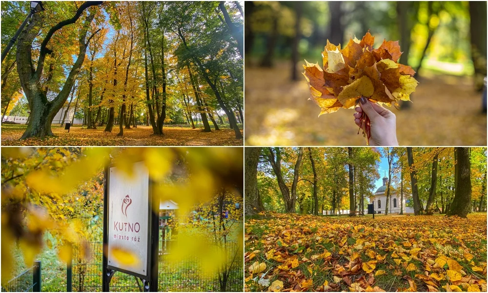 W jesieni jest magia. Kutnowskie parki wyglądają zjawiskowo! [ZDJĘCIA] - Zdjęcie główne