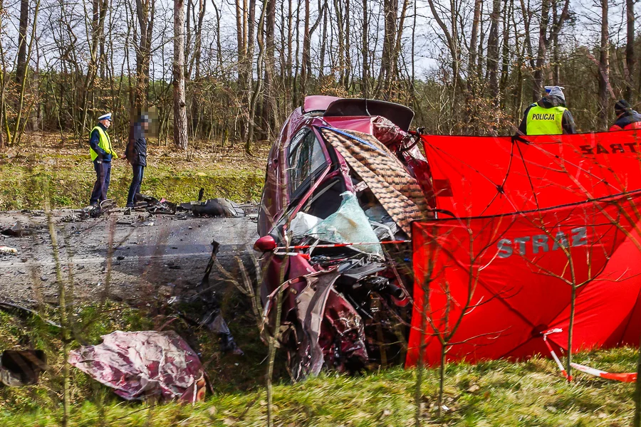 Śmiertelny wypadek między Bełchatowem a Pabianicami. Kierowcy uwaga na utrudnienia [FOTO] - Zdjęcie główne