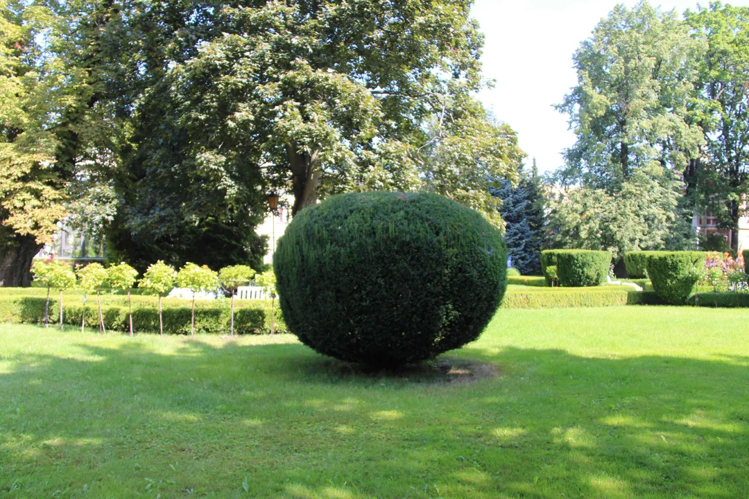 Zachwycający ogród Muzeum Pałacu Herbsta