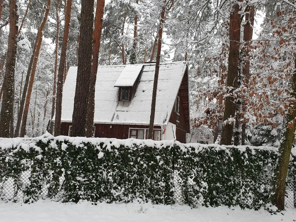 Śnieżna galeria ze Zgierza i Sokolnik-Lasu