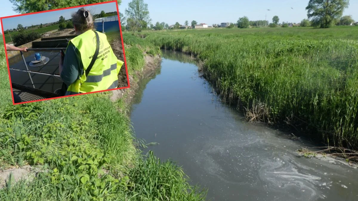 Zanieczyszczona rzeka w powiecie kutnowskim. Co się stało? [ZDJĘCIA] - Zdjęcie główne