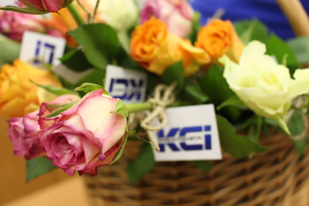 KCI rozdaje róże i gazety na kutnowskim Święcie Róży