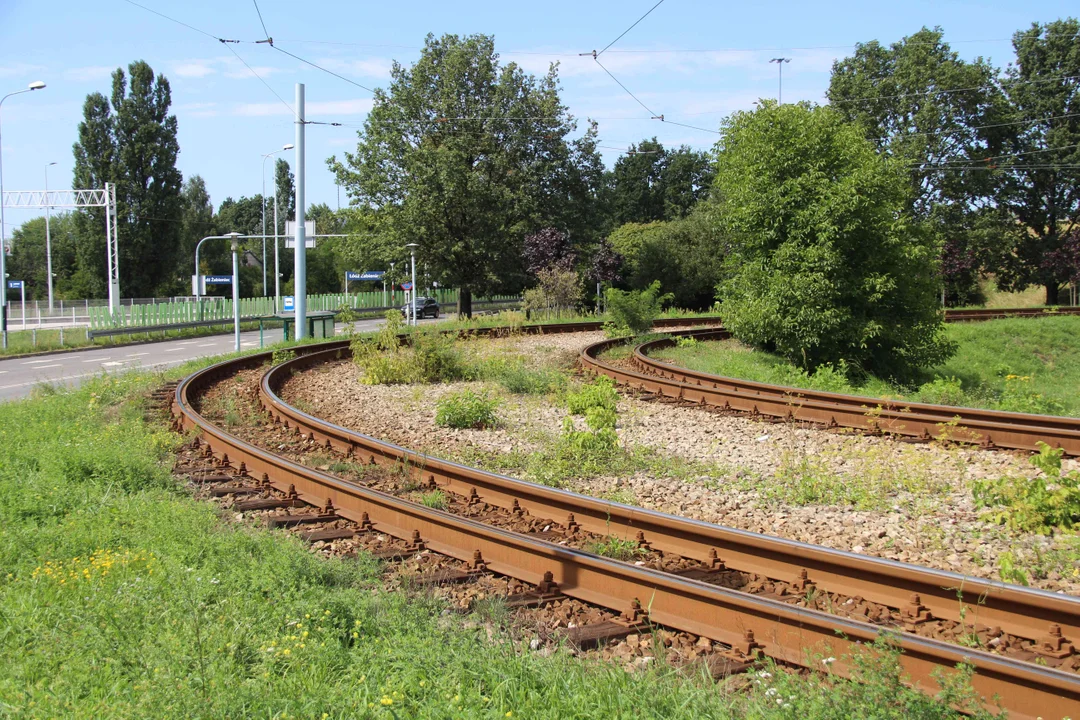 Kolejne pętle tramwajowe w Łodzi zostaną przebudowane. Ogłoszono także, którymi ulicami pojedzie autobus [ZDJĘCIA] - Zdjęcie główne