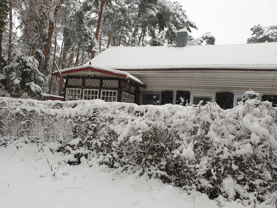 Śnieżna galeria ze Zgierza i Sokolnik-Lasu