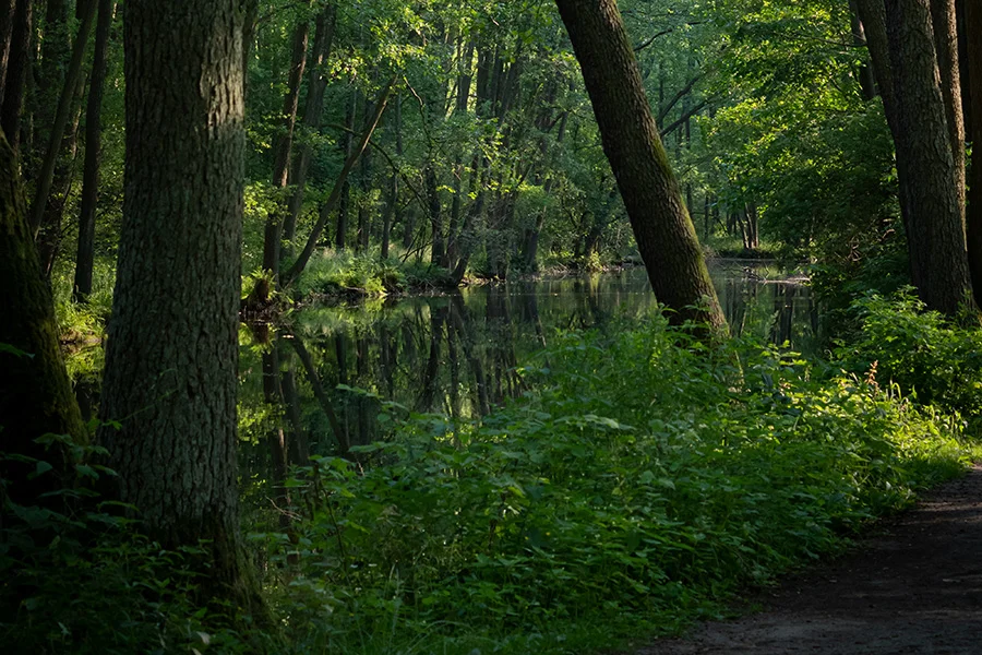 Rezerwat przyrody Niebieskie Źródła