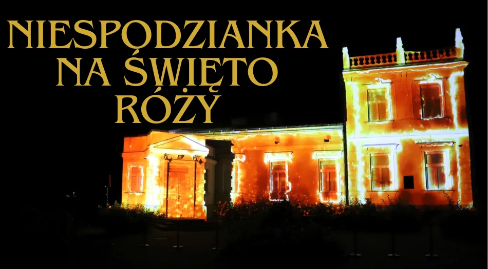 Czy widzieliście już ten pokaz? To ostania szansa aby go obejrzeć [ZDJĘCIA] - Zdjęcie główne