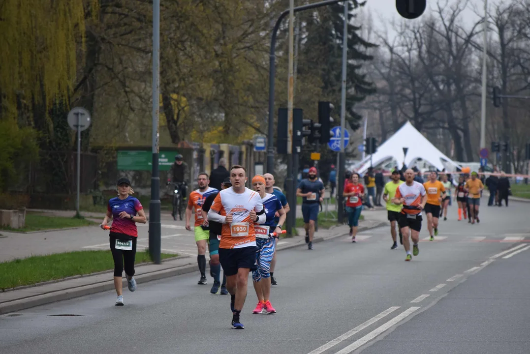 DOZ Maraton ulicami miasta. Zobacz zdjęcia z biegu głównego