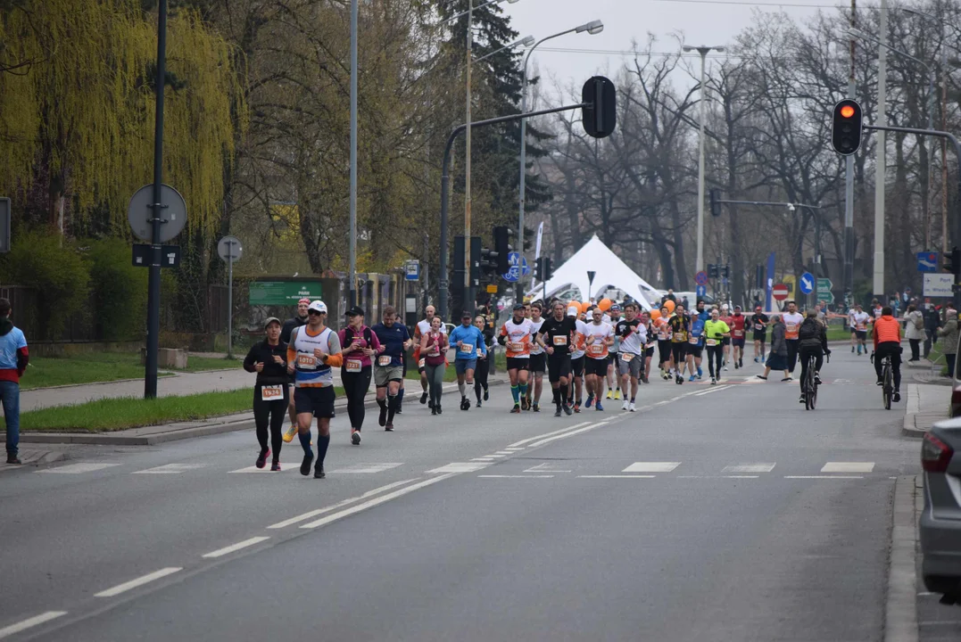 DOZ Maraton ulicami miasta. Zobacz zdjęcia z biegu głównego
