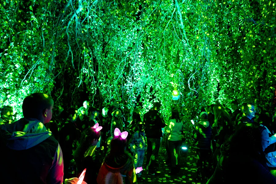 Tak podczas Light Move Festival Łódź wyglądała rok temu