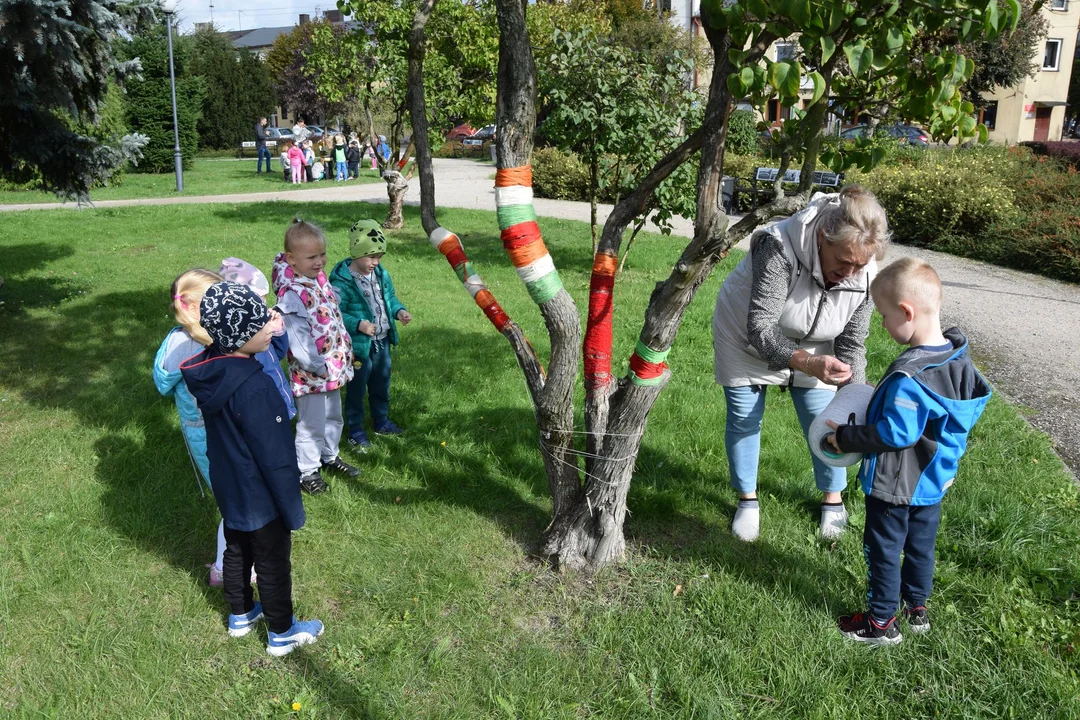 Dzieci ubierają drzewa w Zelowie