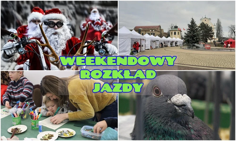 Weekendowy rozkład jazdy: parada Moto Mikołajów, wystawa gołębi pocztowych i wiele więcej - Zdjęcie główne