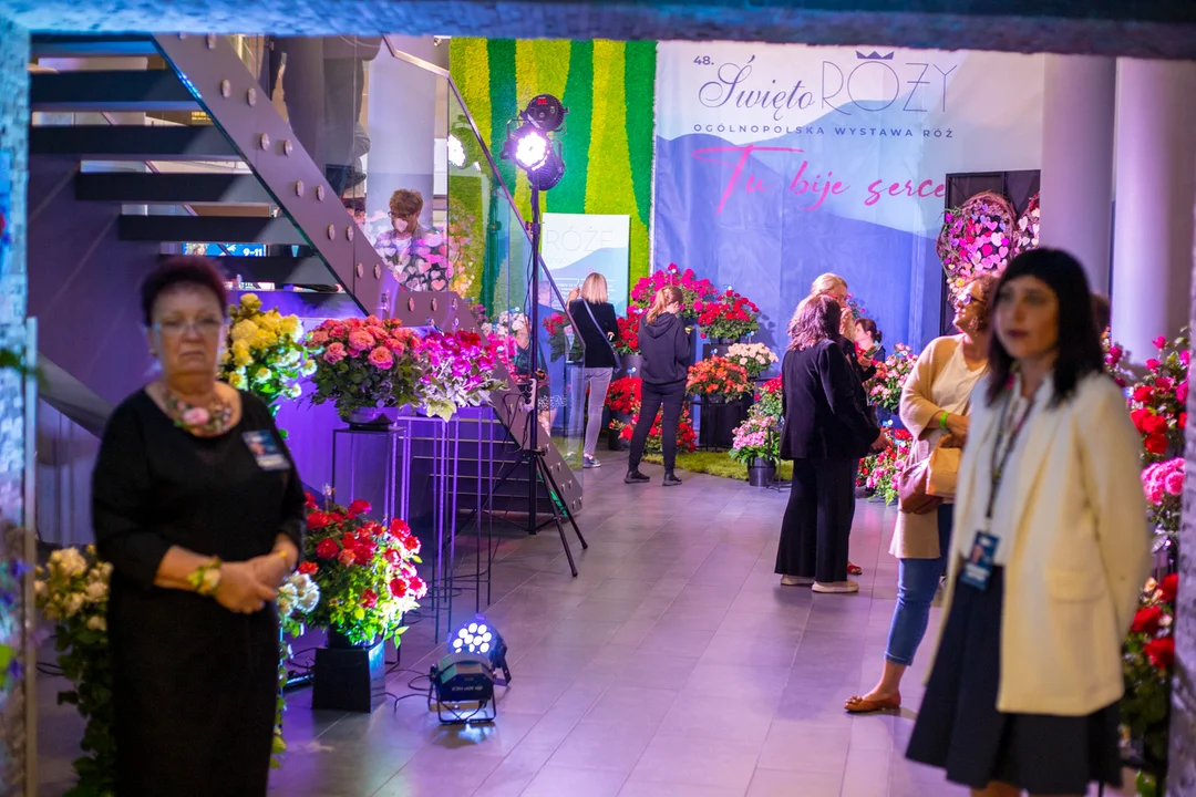 Ogólnopolska wystawa róż i laser show - Święto Róży 2022