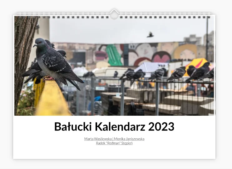 Koty, gołębie, pingwiny i wyjątkowa przestrzeń – wszystko na kartach Bałuckiego Kalendarza. Zobaczcie sami [zdjęcia] - Zdjęcie główne