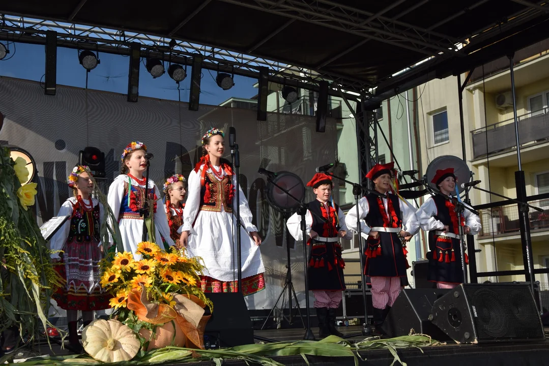 Tłumy mieszkańców bawiły się na dożynkowych koncertach w Żychlinie