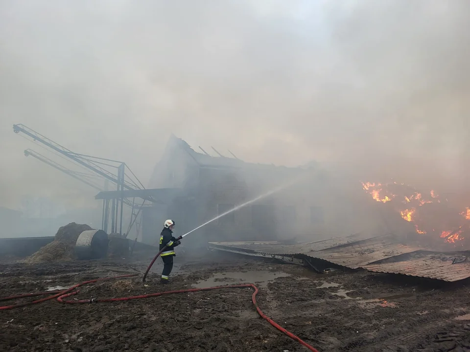 Ogromny pożar w Łódzkiem. W akcji blisko stu strażaków - Zdjęcie główne