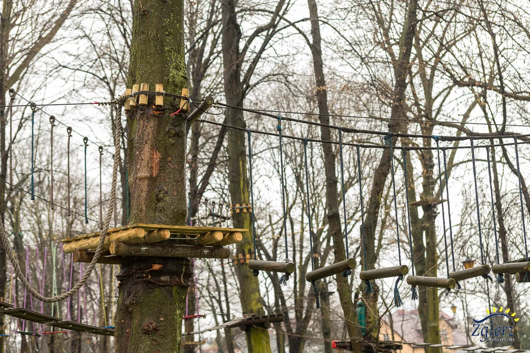 Otwarcie parku linowego na MOSiR-ze w Zgierzu. Zdjęcia i filmy