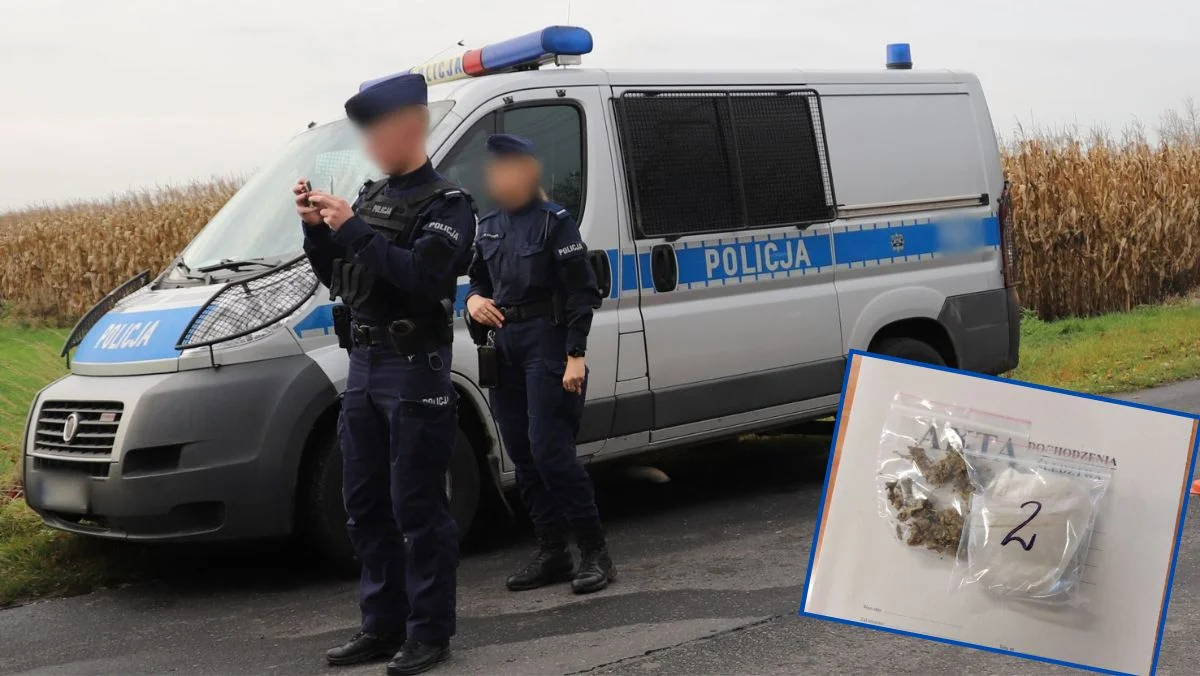 Policja z Łęczycy w walce z narkobiznesem. Osiem osób z zarzutami - Zdjęcie główne