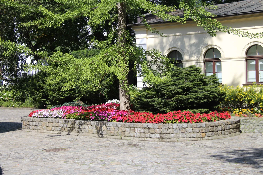 Zachwycający ogród Muzeum Pałacu Herbsta