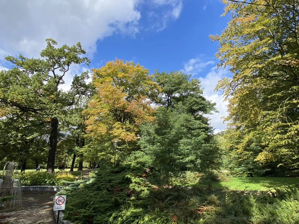 Park Źródliska jesienią