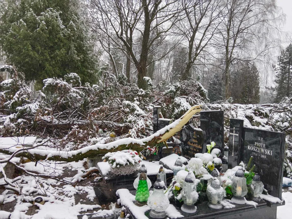 Wiatr przewrócił drzewo na cmentarzu na Dołach! Konar zniszczył kilka nagrobków [ZDJĘCIA] - Zdjęcie główne