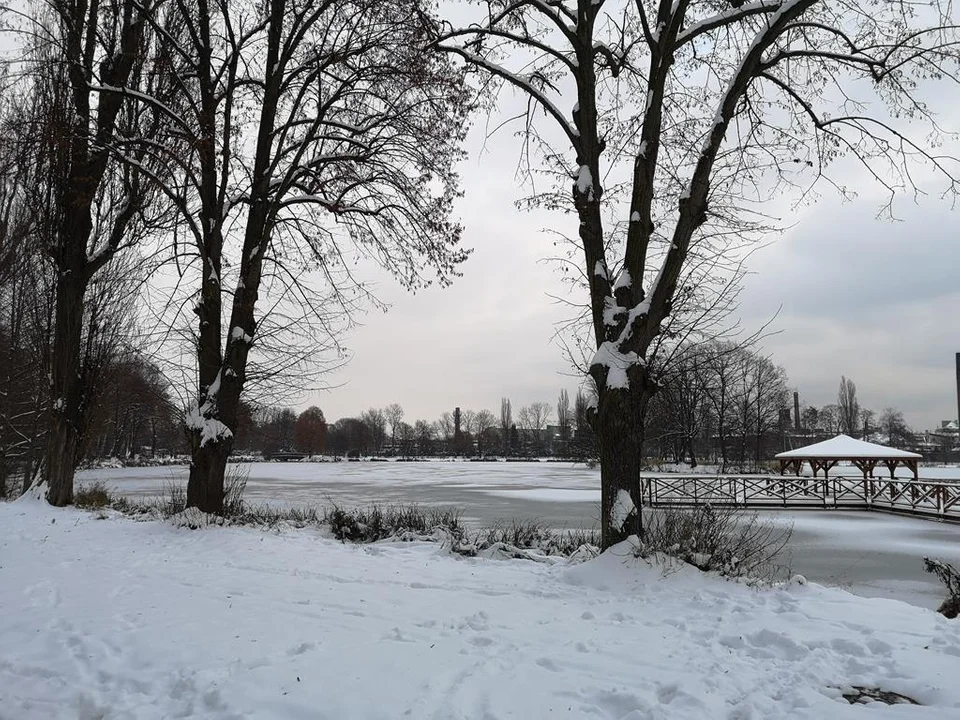 Zima zagościła w Parku Miejskim