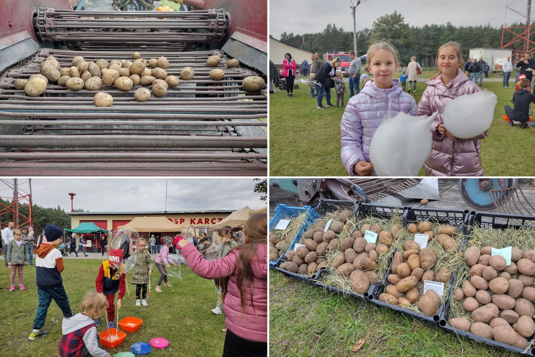 Dzień Ziemniaka w gminie Zelów. Było pyszne jedzenie, atrakcje dla dzieci i wyprzedaż garażowa [FOTO] - Zdjęcie główne