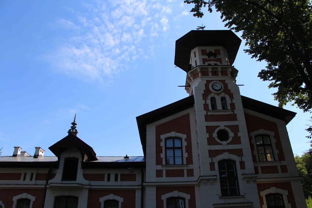 Zachwycający ogród Muzeum Pałacu Herbsta