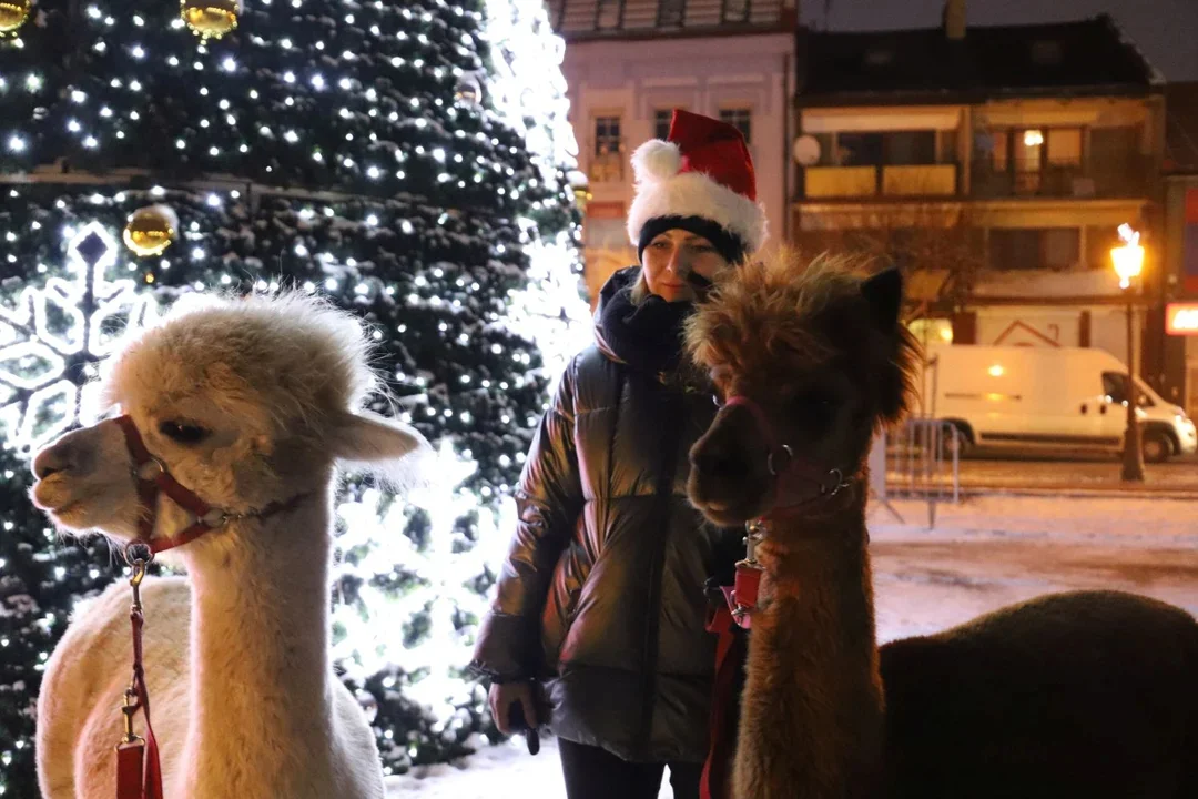 Już dziś (6.12) oficjalne uruchomienie iluminacji świątecznych w Kutnie