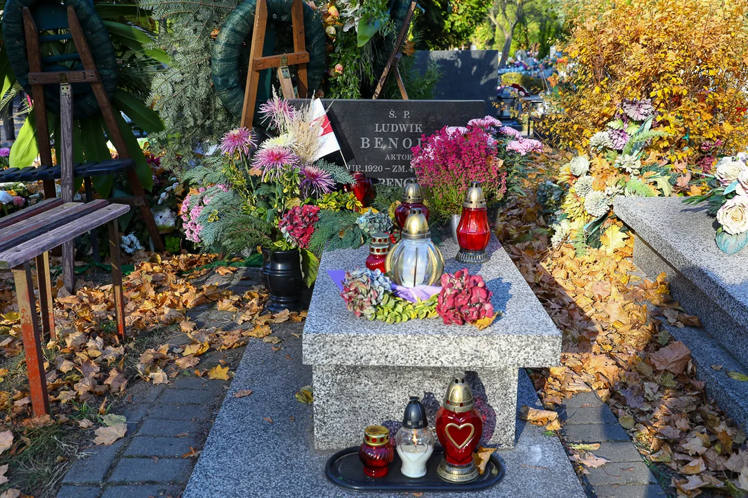 Aleja Zasłużonych na cmentarzu na Dołach