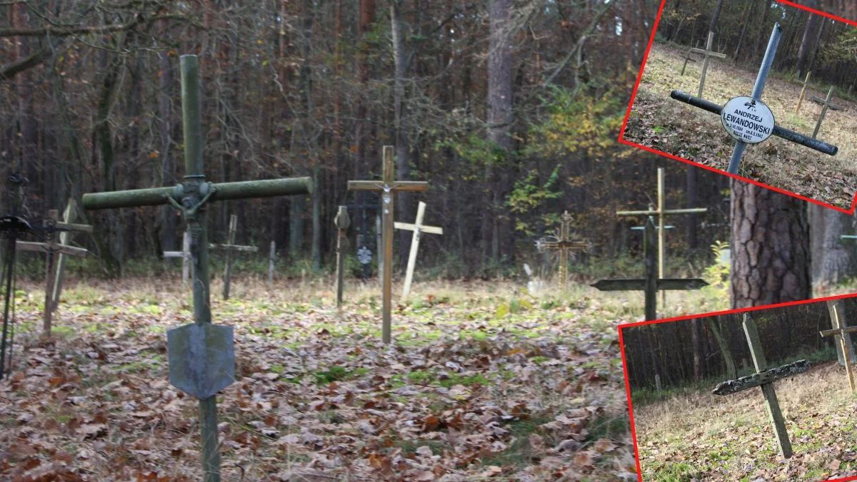 W Kutnie i okolicach: Cmentarz w lesie, niedaleko szpital psychiatryczny. Jaka jest historia tego miejsca? [ZDJĘCIA] - Zdjęcie główne