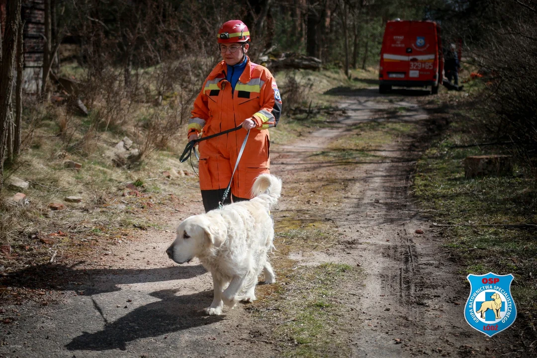 Kodi i Fresh, jedyne psy gruzowiskowe w województwie łódzkim, odnowiły uprawnienia - Zdjęcie główne