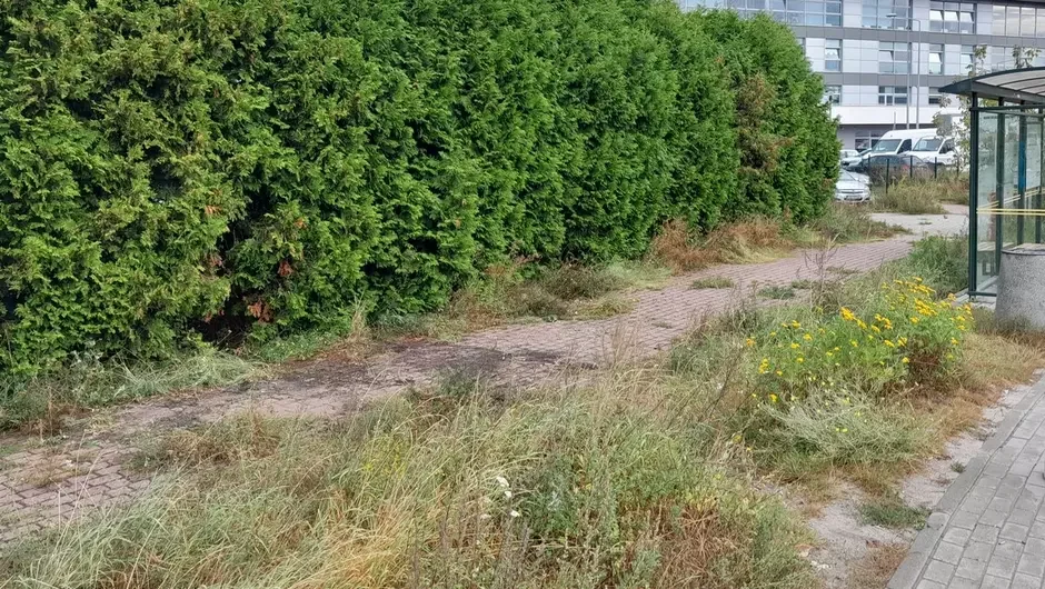 Podrzucili odpady na sąsiednią działkę. Interweniowały służby